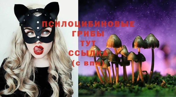 марки lsd Беломорск