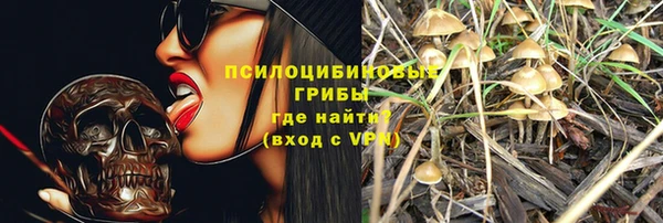 тгк Богданович